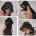 Dachshund (Miniature Smooth Haired)