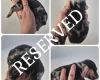 Dachshund (Miniature Smooth Haired)