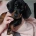 Dachshund (Miniature Smooth Haired)