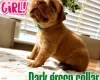 Dogue De Bordeaux