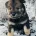 Eurasier