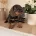 Dachshund (Wire Haired)