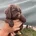 Cockapoo