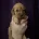 Cavapoo