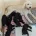 Goldendoodle
