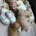 Cavapoo