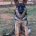 German Shepherd (Alsatian)
