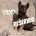 German Shepherd (Alsatian)
