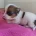 Jack Russell
