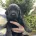Flat Coated Retriever
