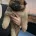 Eurasier