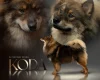 Eurasier