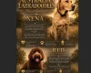 Labradoodle