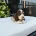 Cocker Spaniel (Show)