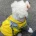 Cavachon