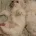 Maltese