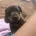 Dachshund (Miniature Long Haired)