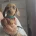 Dachshund (Miniature Smooth Haired)