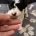 Poochon
