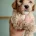 Poochon