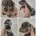 Dachshund (Miniature Smooth Haired)