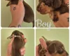 Dachshund (Miniature Smooth Haired)