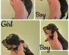 Dachshund (Miniature Smooth Haired)