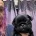 Pug