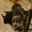Italian Greyhound