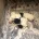 Lagotto Romagnolo
