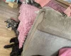 Shihpoo