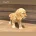 Cocker Spaniel (Show)