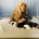 Cocker Spaniel (Show)