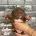 Staffordshire Bull Terrier