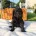 Poodle