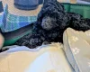 Toy Poodle