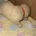 White Swiss Shepherd Dog