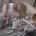 American Bulldog
