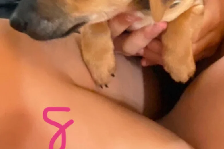Jack Russell