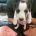 Jack Russell