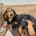 Cocker Spaniel (Working)