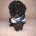 Maltipoo