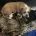 English Bulldog