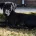 Bedlington Terrier