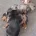 Biewer Terrier