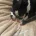 Boston Terrier