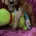Cavapoo