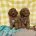 Cavapoo
