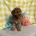 Cavapoo