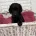 Cockapoo